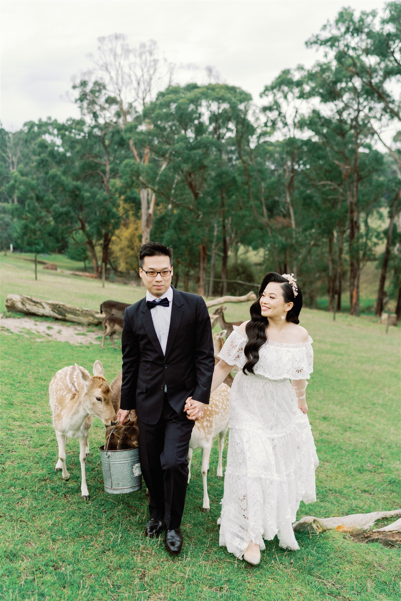 Pre wedding photo shoot with engaged couple walking with deer at Gum Gully Farm in Silvan