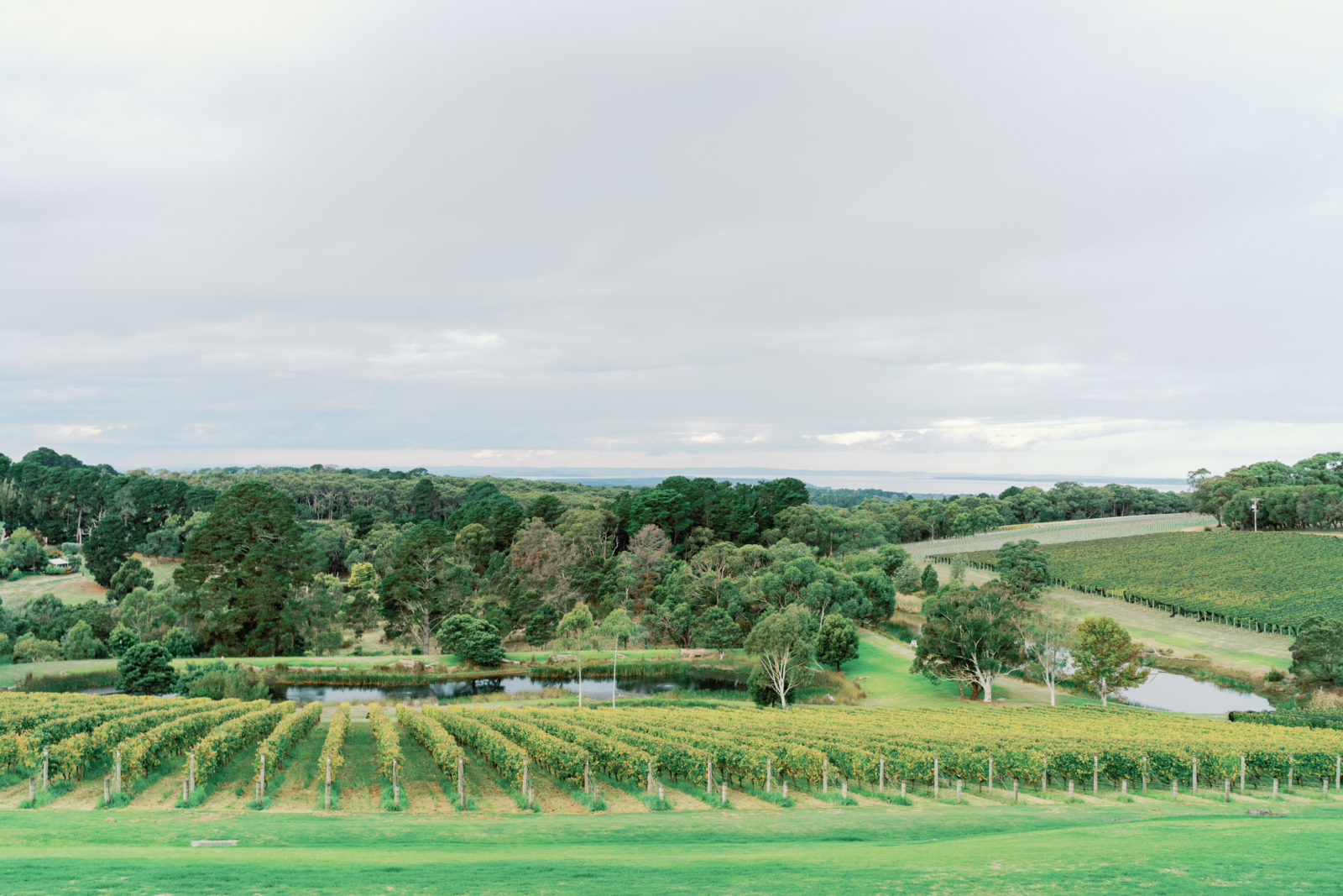 Port Phillip Estate Wedding Guide