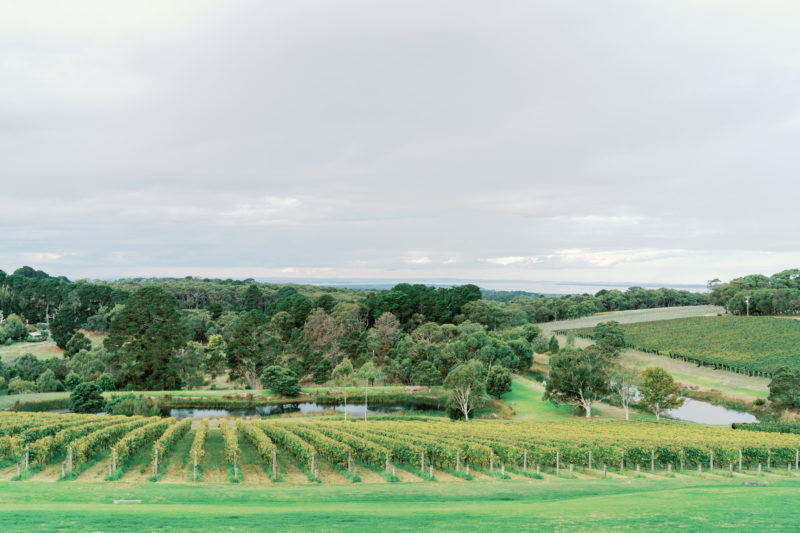 Port Phillip Estate Wedding Guide
